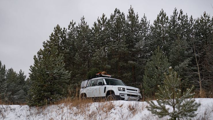 Галерея Новый год